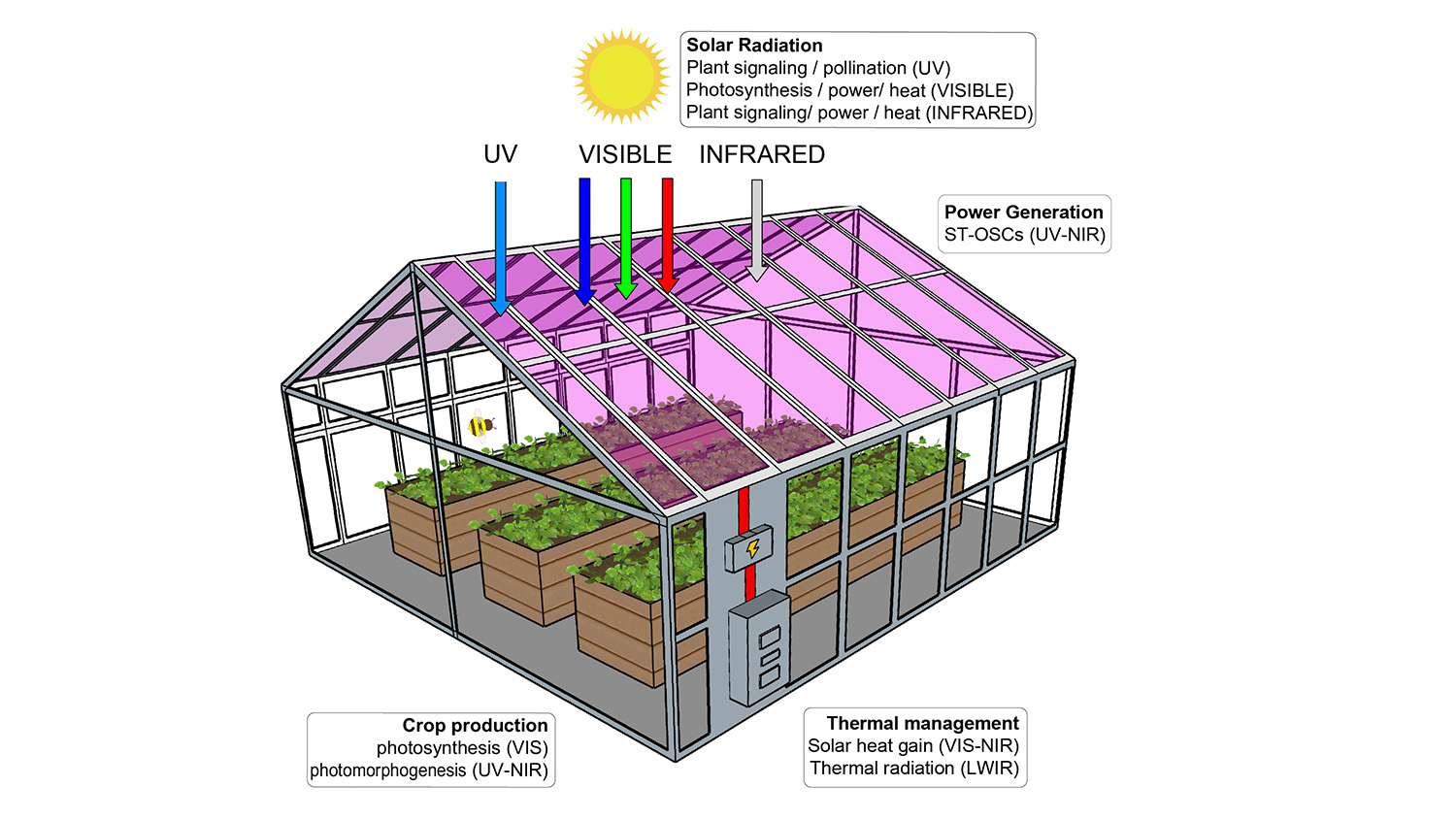 diagram of a solar-powered greenhouse