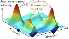 Two-dimensional coherent spectrum of excitons in a GaAs