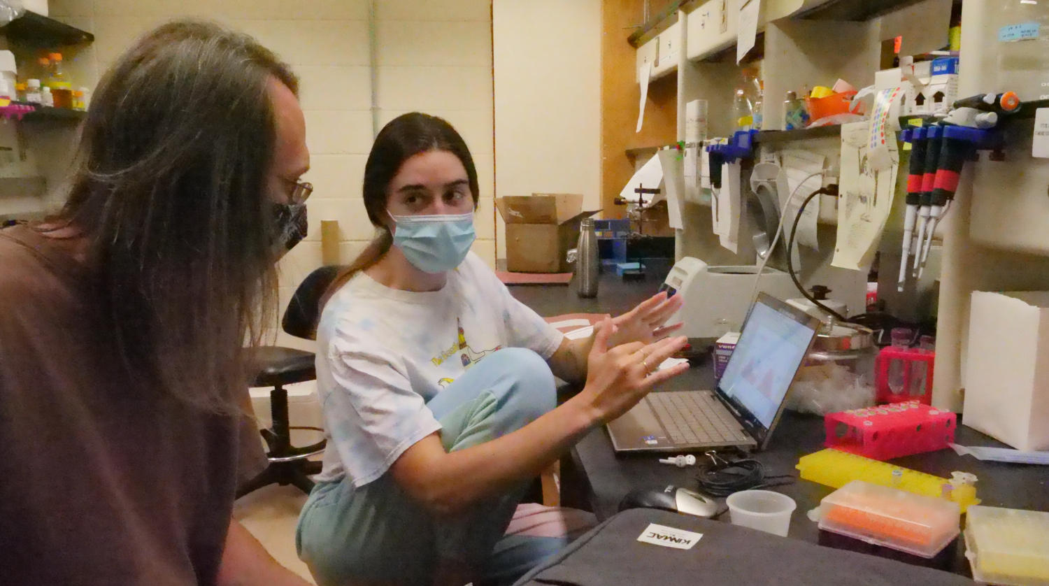 Research in Dr. Weninger's Lab